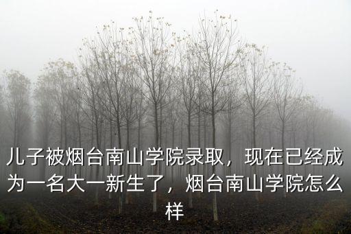 煙臺南山學院大二宿舍交多少錢,煙臺南山學院怎么樣