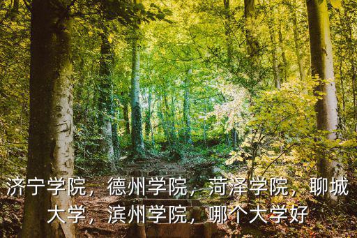 聊城共有多少所大學,聊城大學是一所怎樣的大學