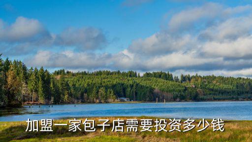 蘇州包子連鎖加盟多少錢,大概投資多少錢
