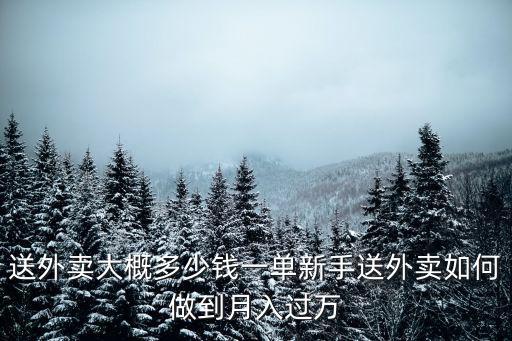 菏澤美團外賣送一單多少錢,新手送外賣如何做到月入過萬