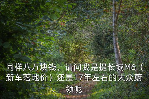 同樣八萬塊錢，請問我是提長城M6（新車落地價）還是17年左右的大眾蔚領呢