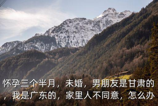 懷孕三個半月，未婚，男朋友是甘肅的，我是廣東的，家里人不同意，怎么辦