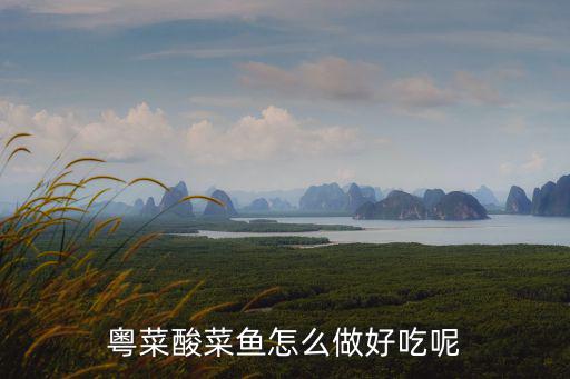 廣東人怎么做魚片,粵菜酸菜魚怎么做好吃呢