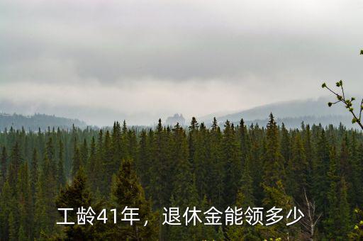工齡41年，退休金能領多少