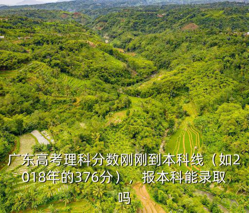 廣東高考多少分上本科,廣東高考466分
