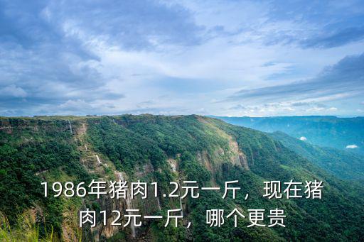 1986年豬肉1.2元一斤，現在豬肉12元一斤，哪個更貴