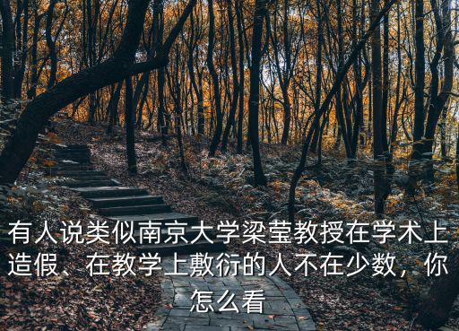 有人說類似南京大學梁瑩教授在學術上造假、在教學上敷衍的人不在少數，你怎么看