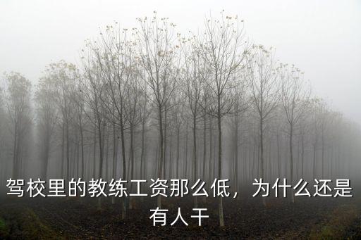 駕校里的教練工資那么低，為什么還是有人干