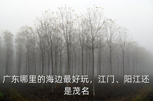 廣東哪里的海邊最好玩，江門、陽江還是茂名