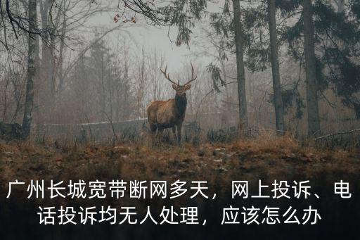 廣州海珠區長城寬帶電話是多少,廣州長城寬帶斷網多天