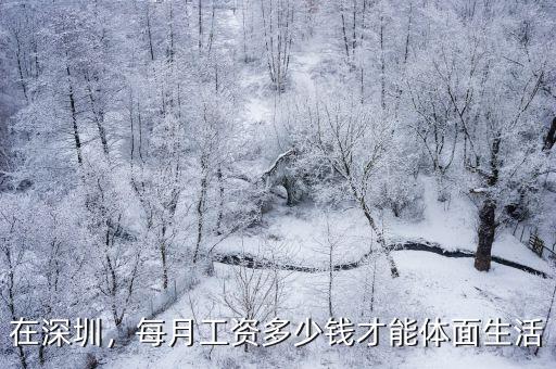 在深圳，每月工資多少錢才能體面生活