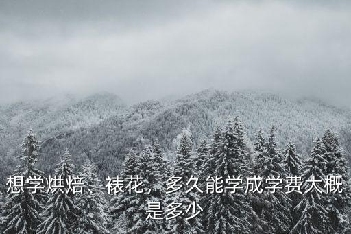 廣州學烘焙裱花多少錢,裱花好學還是烘焙好學