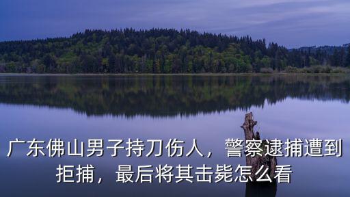 廣東佛山警察辦案怎么樣,廣東佛山男子持刀傷人
