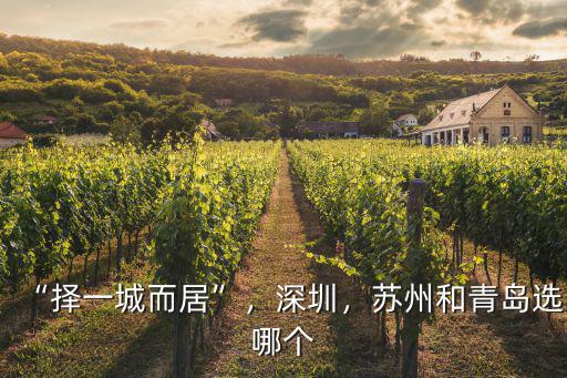 “擇一城而居”，深圳，蘇州和青島選哪個
