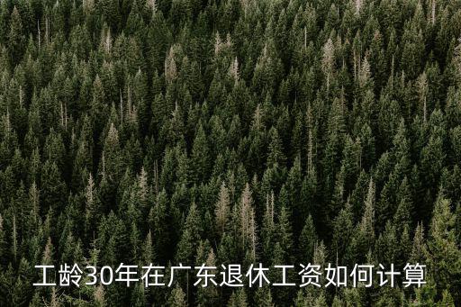 工齡30年在廣東退休工資如何計算