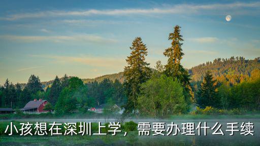小孩想在深圳上學，需要辦理什么手續