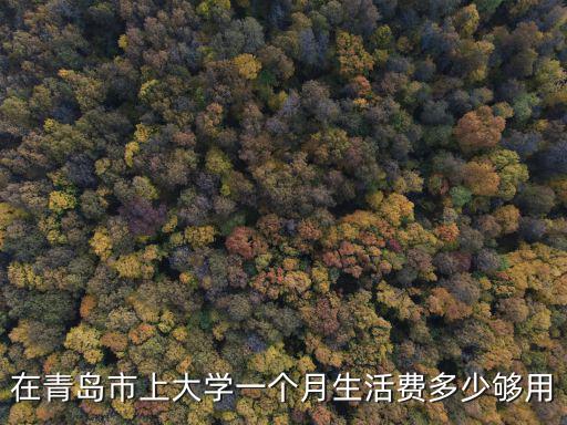 在青島市上大學(xué)一個(gè)月生活費(fèi)多少夠用