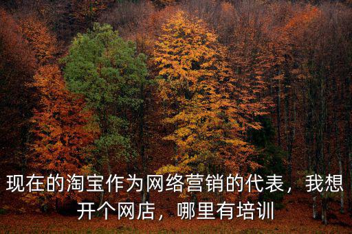 現在的淘寶作為網絡營銷的代表，我想開個網店，哪里有培訓