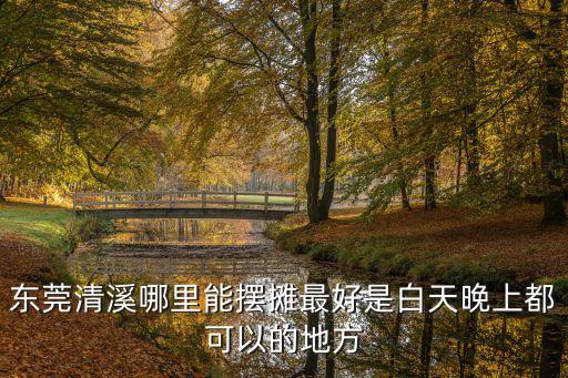 東莞清溪哪里能擺攤最好是白天晚上都可以的地方