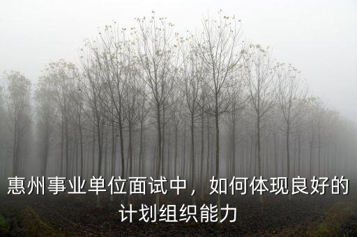 惠州事業單位面試中，如何體現良好的計劃組織能力
