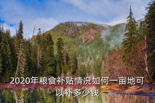2020年菏澤糧食補貼多少錢,一畝地可以補多少錢