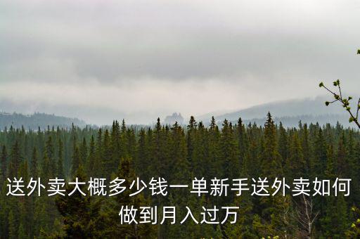 杭州市美團外賣送一單多少錢,新手送外賣如何做到月入過萬