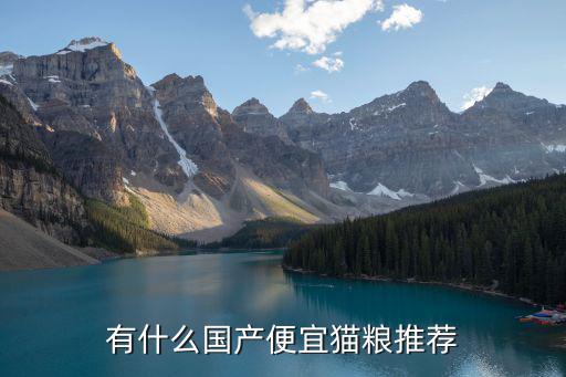 廣州貓糧哪里最便宜,各位鏟屎官都去哪里買貓糧