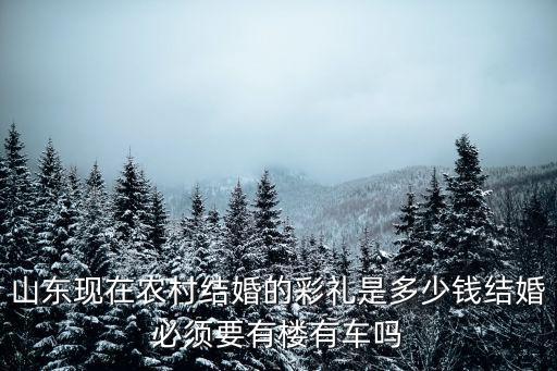 山東現(xiàn)在農(nóng)村結(jié)婚的彩禮是多少錢結(jié)婚必須要有樓有車嗎