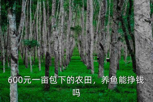 浙江余姚農田多少一畝,600元一畝包下的農田