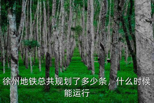 無錫總規(guī)劃多少條地鐵,無錫有地鐵嗎
