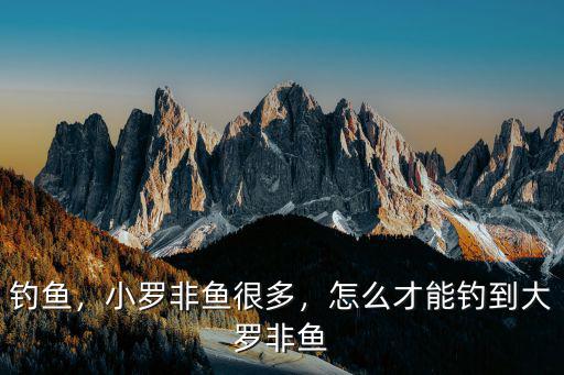 惠州哪里可以釣到羅非魚,怎么才能釣到大羅非魚