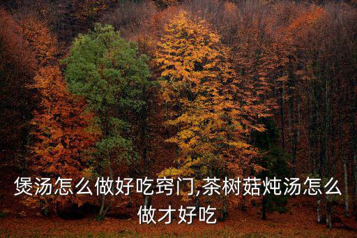 廣東煲湯怎么做好吃竅門,茶樹菇燉湯怎么做才好吃