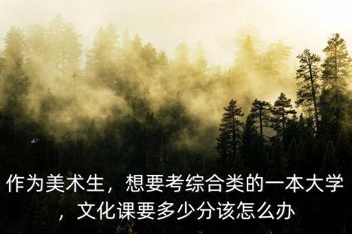 作為美術生，想要考綜合類的一本大學，文化課要多少分該怎么辦