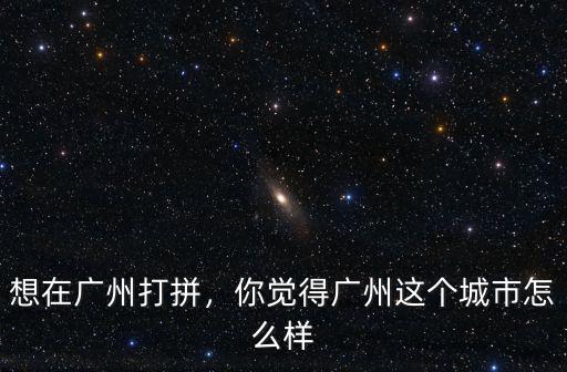 想在廣州打拼，你覺得廣州這個城市怎么樣