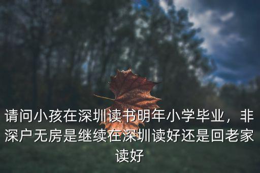 深圳非深戶學費多少,深戶和非深戶有多大差別
