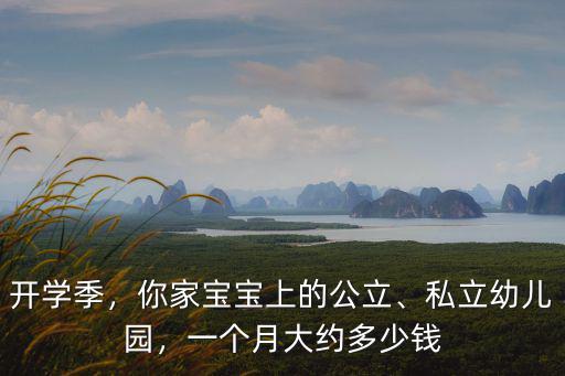 開學季，你家寶寶上的公立、私立幼兒園，一個月大約多少錢