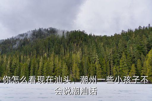 你怎么看現在汕頭、潮州一些小孩子不會說潮汕話