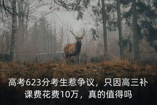高考623分考生惹爭議，只因高三補課費花費10萬，真的值得嗎