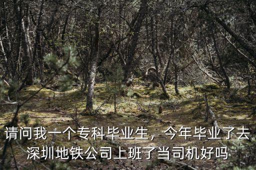 請問我一個(gè)專科畢業(yè)生，今年畢業(yè)了去深圳地鐵公司上班了當(dāng)司機(jī)好嗎