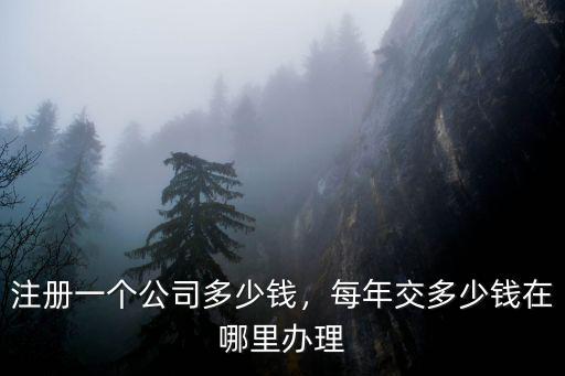 注冊一個公司多少錢，每年交多少錢在哪里辦理