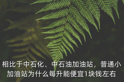 相比于中石化、中石油加油站，普通小加油站為什么每升能便宜1塊錢左右
