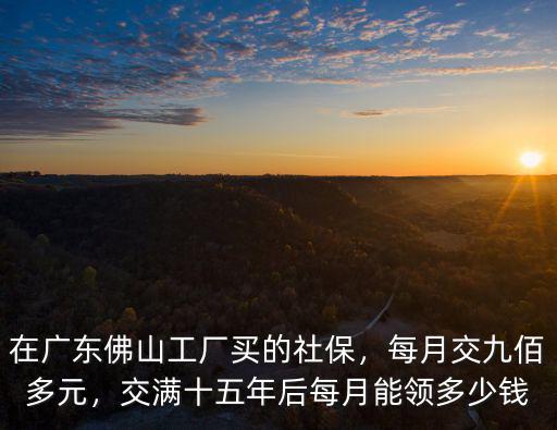 廣東佛山的失業金每月能領多少錢,在廣東佛山工廠買的社保