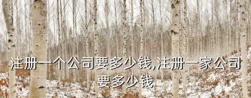 鎮江注冊一個公司要多少錢,注冊一家公司要多少錢
