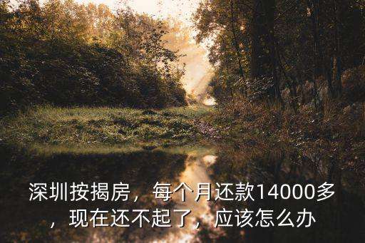 深圳買房每月還款多少,女生想在深圳買房
