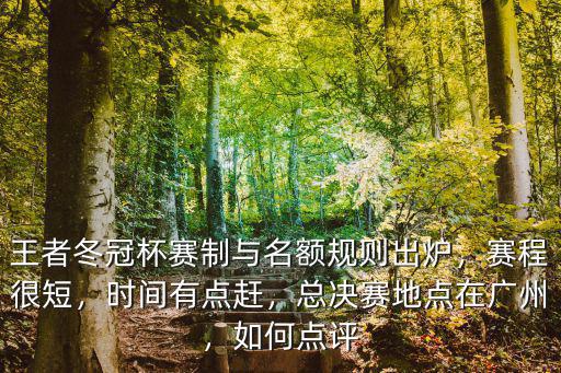 冬季冠軍杯在廣州哪里,KPL冬季冠軍杯賽程公布