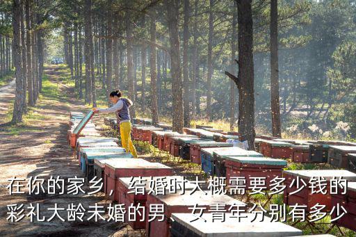 在你的家鄉(xiāng)，結(jié)婚時(shí)大概需要多少錢的彩禮大齡未婚的男、女青年分別有多少