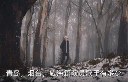 紹興地區有多少流行歌手,威海籍演員歌手有多少