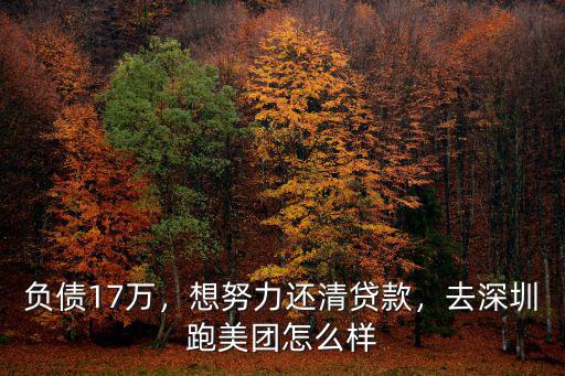深圳艾迪斯頓怎么樣,深圳富士康怎么樣