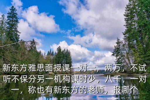 廣州新東方雅思一對(duì)一上課怎么樣,新東方雅思面授課一對(duì)一