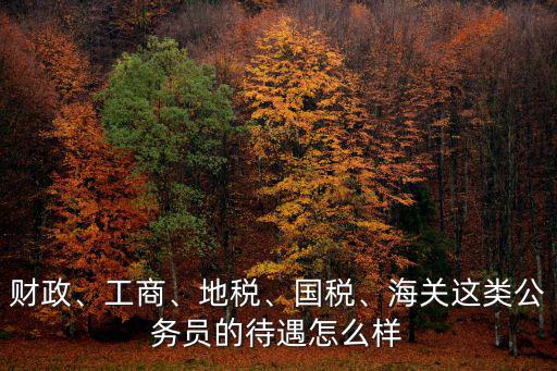 財政、工商、地稅、國稅、海關這類公務員的待遇怎么樣